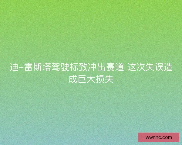 迪-雷斯塔驾驶标致冲出赛道 这次失误造成巨大损失