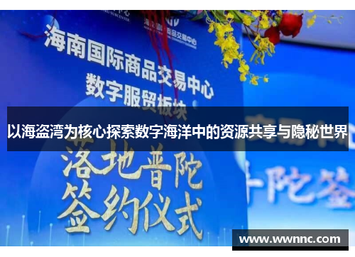 以海盗湾为核心探索数字海洋中的资源共享与隐秘世界