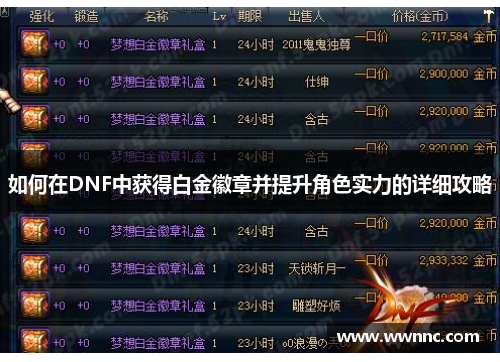 如何在DNF中获得白金徽章并提升角色实力的详细攻略