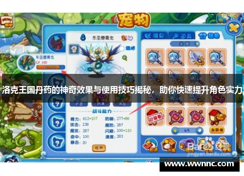 洛克王国丹药的神奇效果与使用技巧揭秘，助你快速提升角色实力
