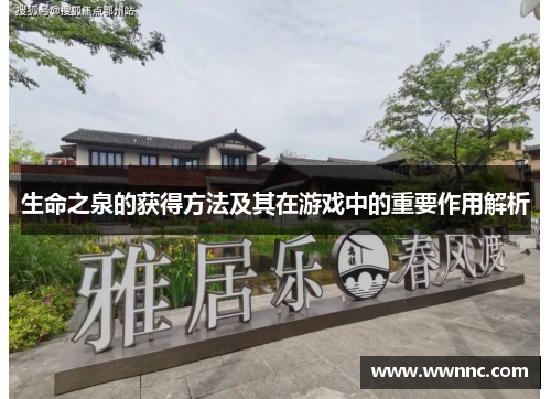 生命之泉的获得方法及其在游戏中的重要作用解析